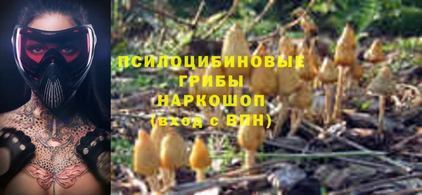 a pvp Верхний Тагил