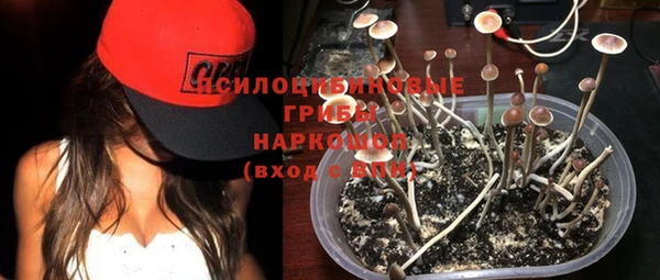гидра Верхнеуральск